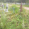 Иванов Петр Иванович