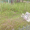 Илензеер Ирина Петровна