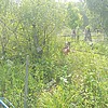 Дергачев Анатолий Иванович