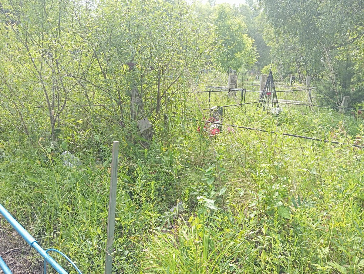 edd37baf-0e58-44f2-874a-c9cd599eff3c Дергачев Анатолий Иванович