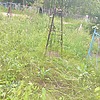 Неизвестно Неизвестно Неизвестно