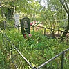 Тучкевич Анна Степановна