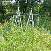 Авершина Тамара Андреевна