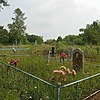 Потапенко Петр Васильевич
