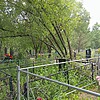 Емельянченко Виталий Васильевич