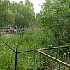 Цыганок Василий Борисович