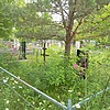 Головина Вера Васильевна
