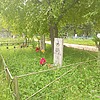 Горюнова Наталья Анатольевна