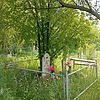 Федяева Мария Алексеевна