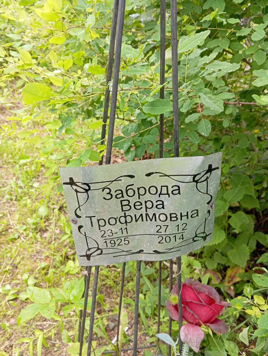 005ceb47-c641-4f2f-8e1a-8ef2515e58ec Заброда Вера Трофимовна