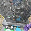 Петровчук Ванечка Неизвестно