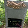 Соколова Наталья Андреевна