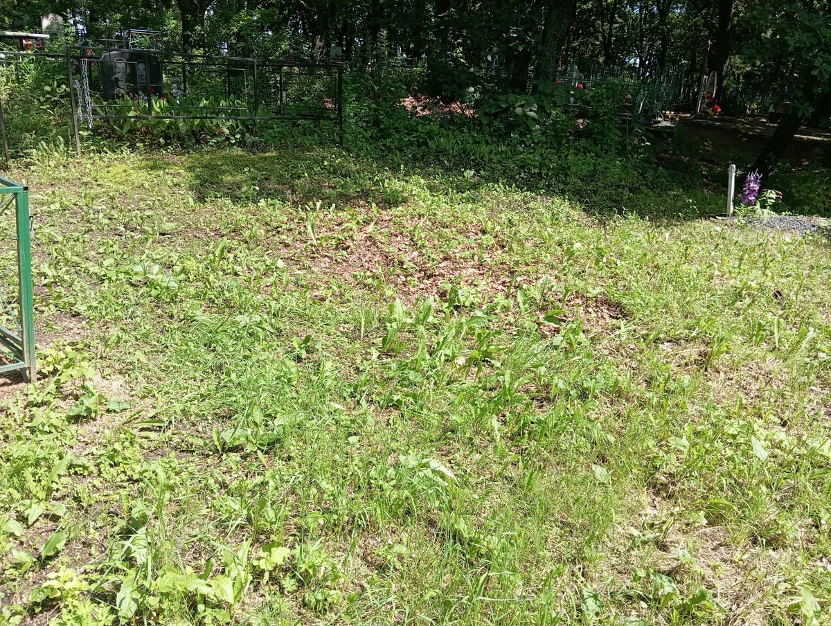 02fccbac-35d2-4e94-938d-30cbe3eb71e0 Неизвестно Неизвестно Неизвестно