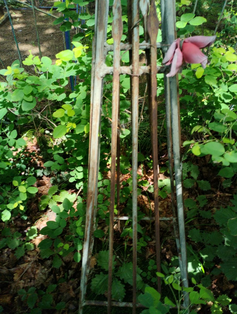 037ace75-9470-439a-b40b-06775a9a17fe Неизвестно Неизвестно Неизвестно