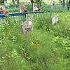 Крамарчук Мария Андреевна