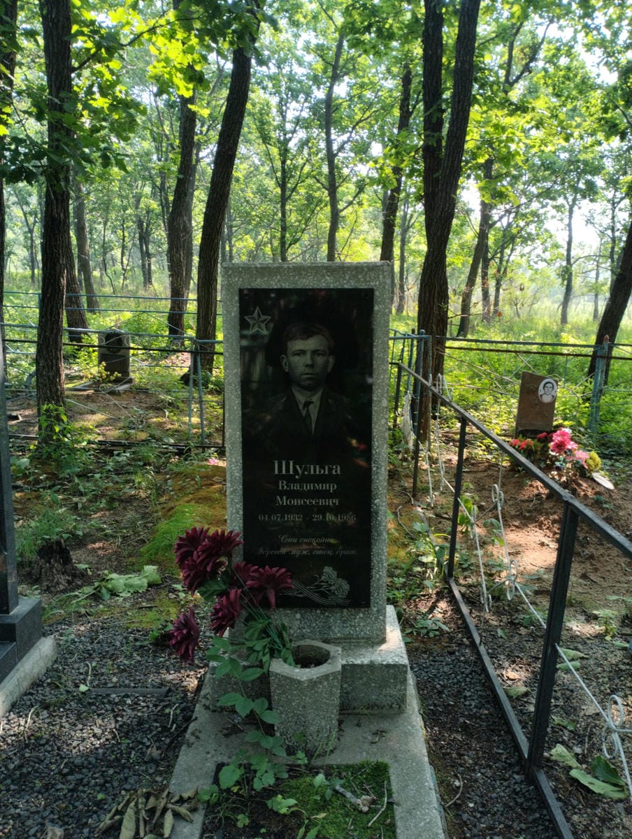 Шульга Владимир Моисеевич