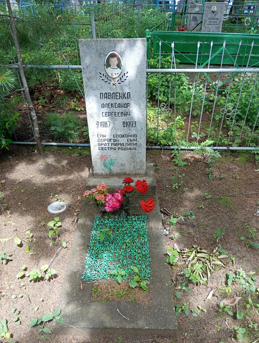 04403bb4-1927-4613-bb25-c6bee4f8eda8 Павленко Александр Сергеевич