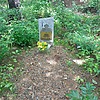 Власов Николай Васильевич