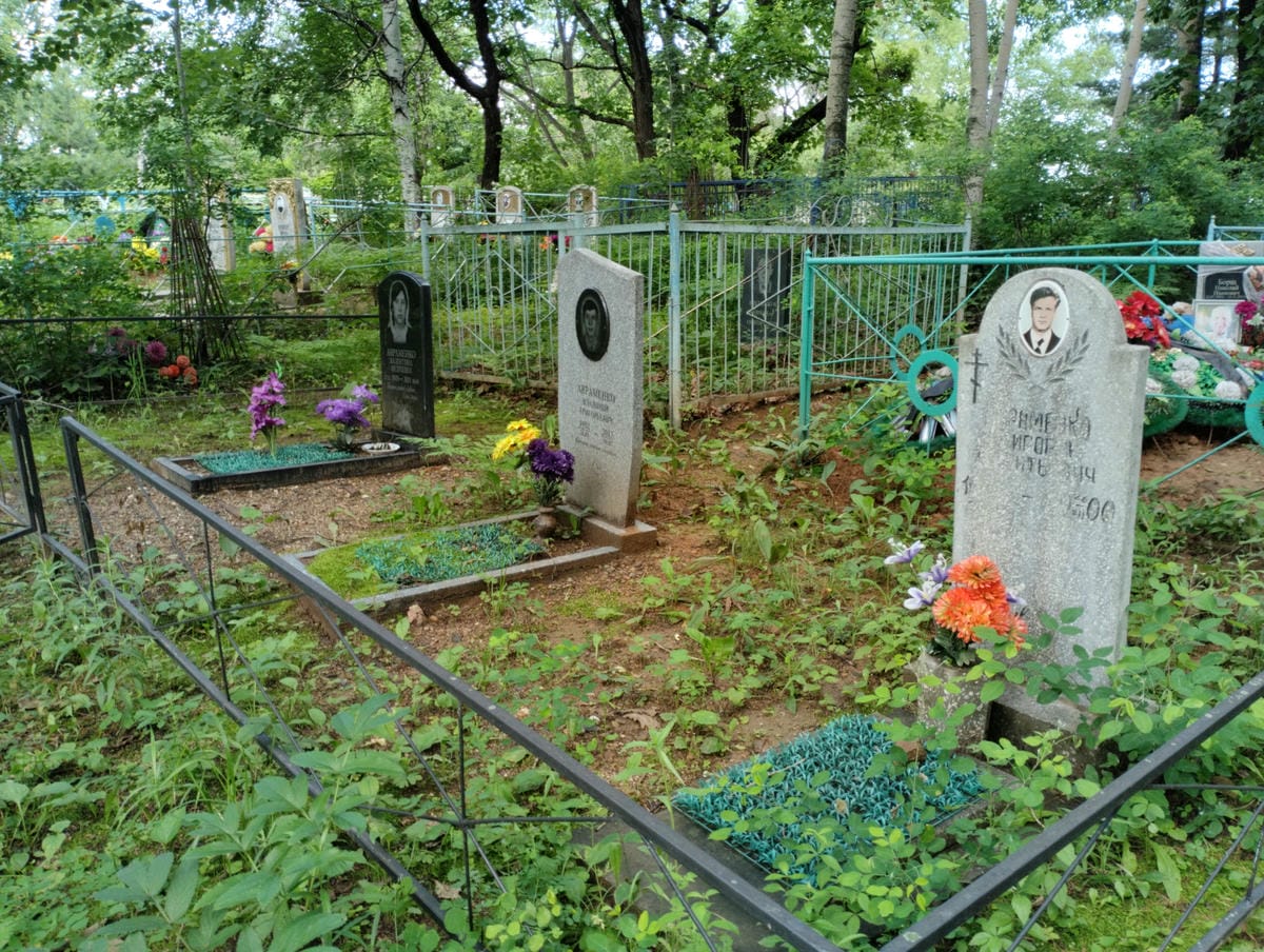 06937c30-d60f-40d7-b4bb-55208b700ebe Авраменко Владимир Григорьевич