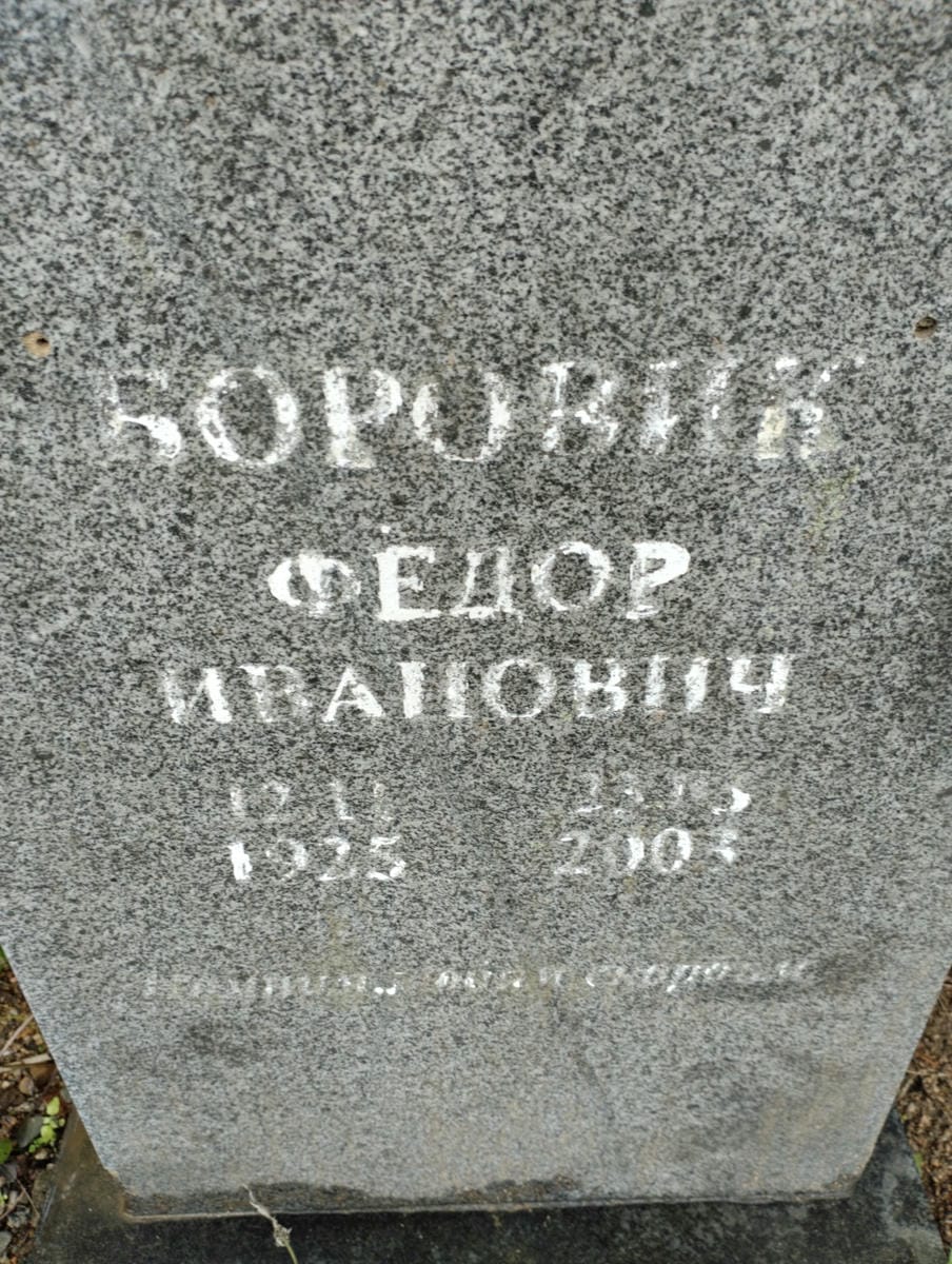 074795e6-ef29-43d1-a58b-506c991ad20d Боровик Федор Иванович