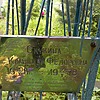 Скулина Клавдия Федоровна