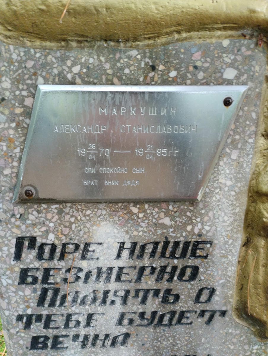 08f3afd2-72bb-4f45-af93-07d89411c043 Маркушин Александр Станиславович
