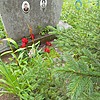 Гусев Георгий Георгиевич