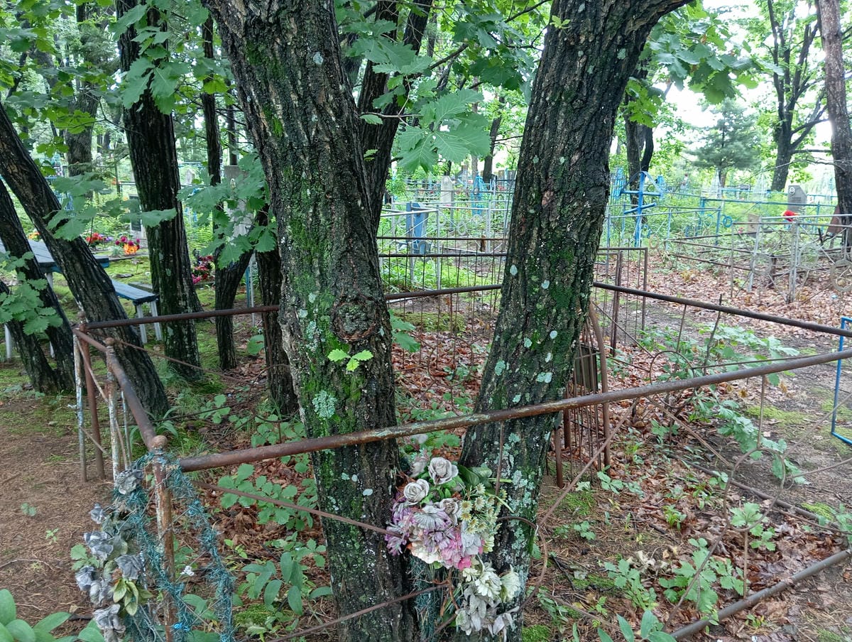 Подопригора Владимир Иванович