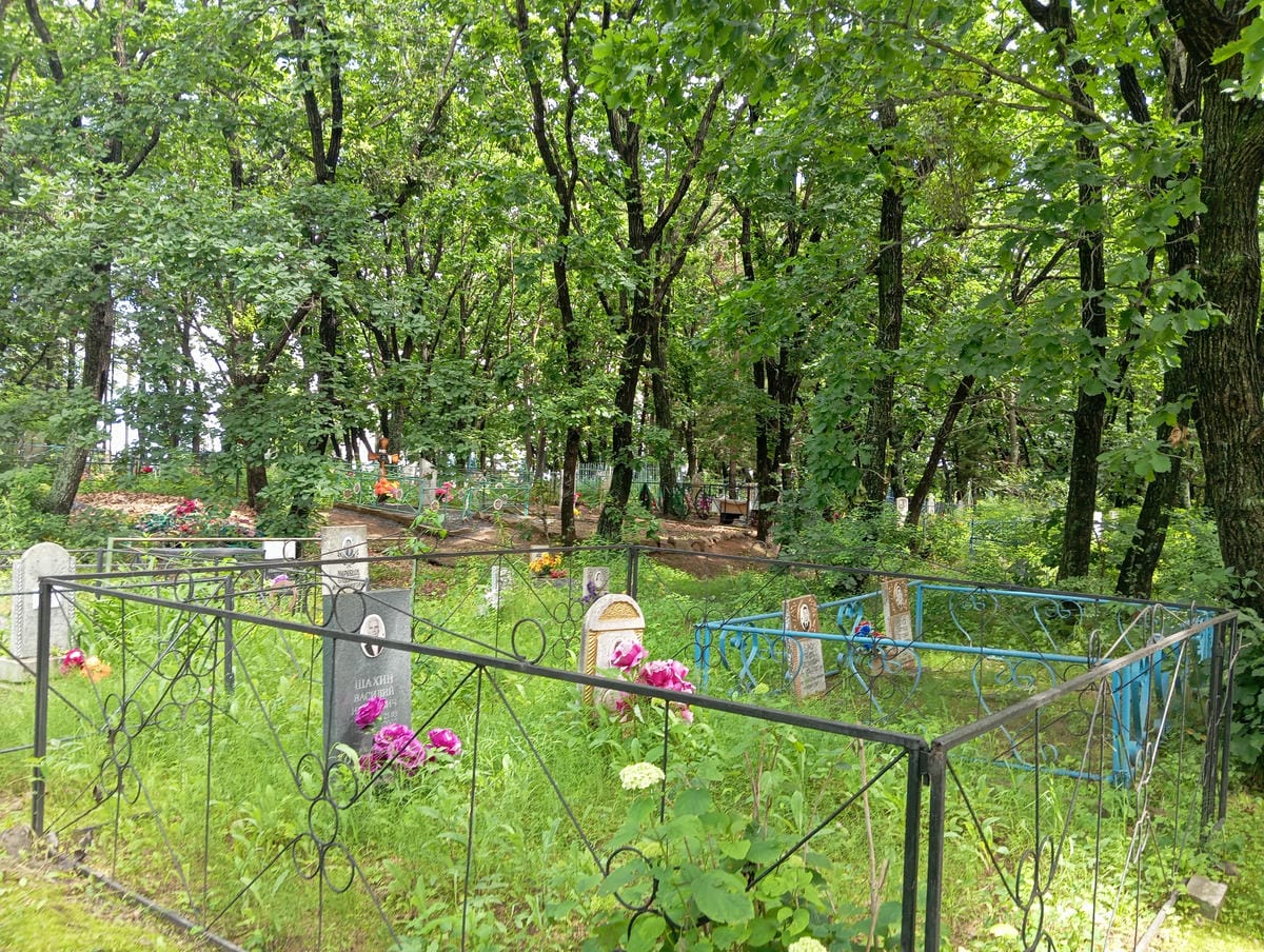 0be96eb4-b218-4d7a-aac0-4c534fe32ea3 Шахин Василий Иванович