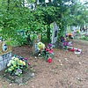 Слесарев Виталий Владимирович
