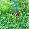 Власов Владимир Васильевич