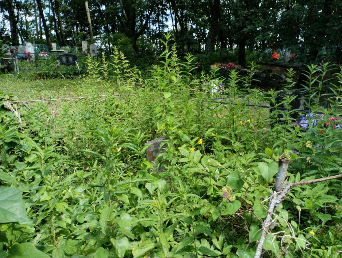 10c7ac05-efa2-4f5e-a0c1-2b2b1be76aa2 Полищук Галина Иннокентьевна