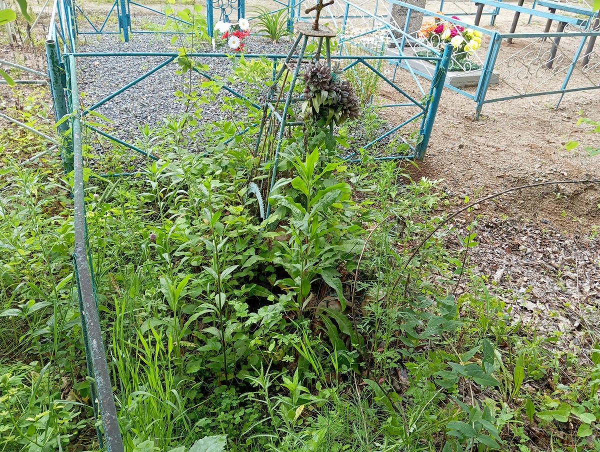 Неизвестно Неизвестно Неизвестно