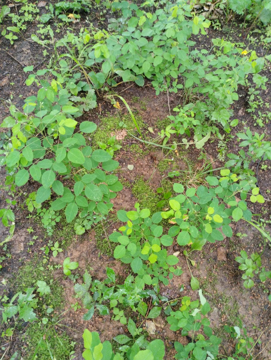 13feb130-58b0-49b6-9d96-547d4820c0a3 Неизвестно Неизвестно Неизвестно