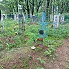 Омельяненко Ольга Максимовна