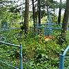 Валянская Мария Ануфриевна
