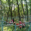Дидык Иван Иванович