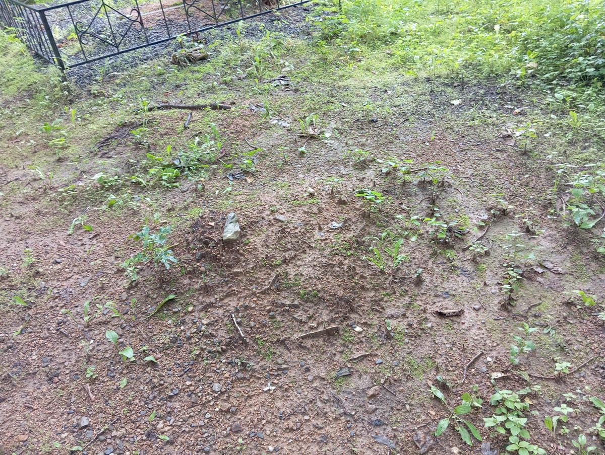 Неизвестно Неизвестно Неизвестно