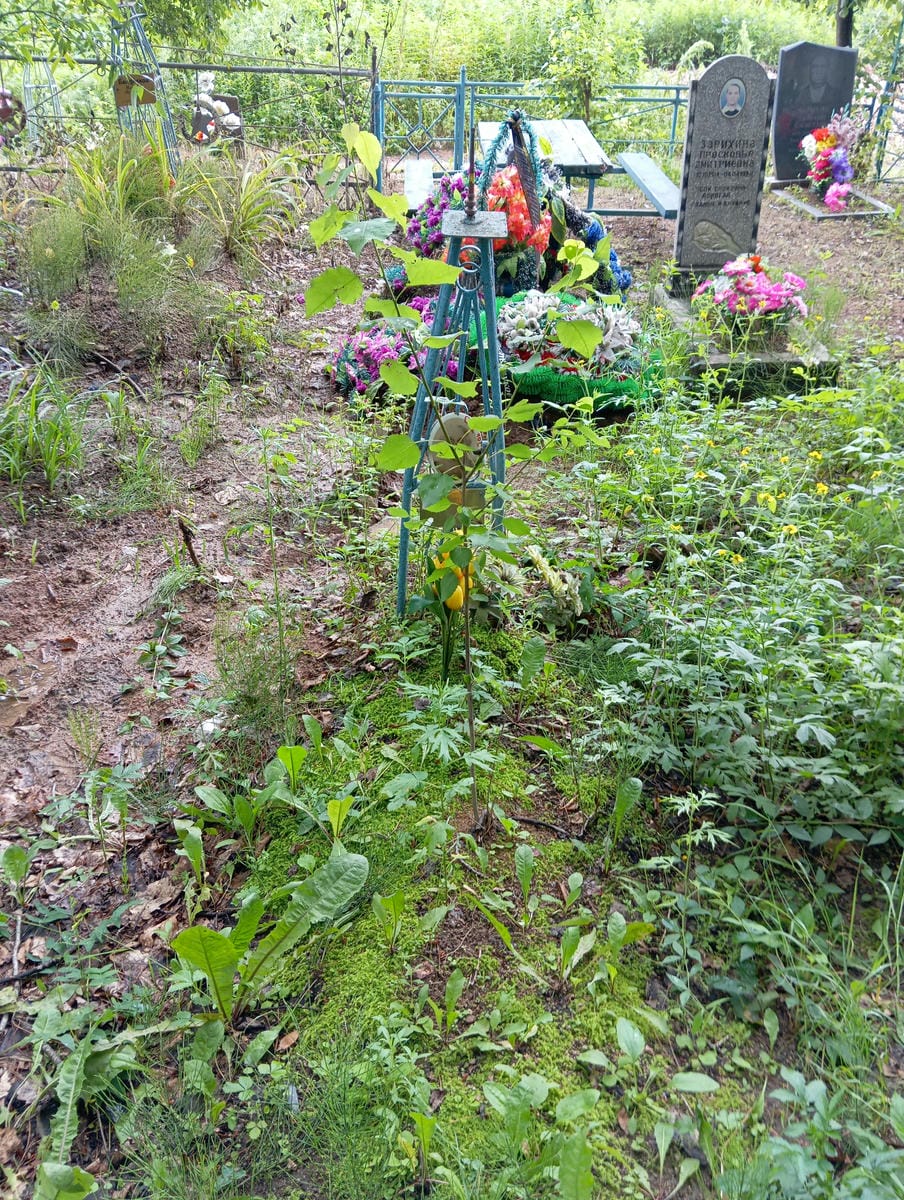 17dfeca3-0abd-4ca9-a917-a58829be2165 Ткаченко Семен Захарович