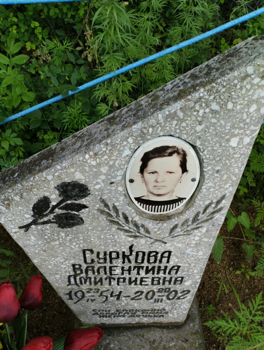 17f3fe00-8a08-4154-b7d6-6dfd320fbf1c Суркова Валентина Дмитриевна