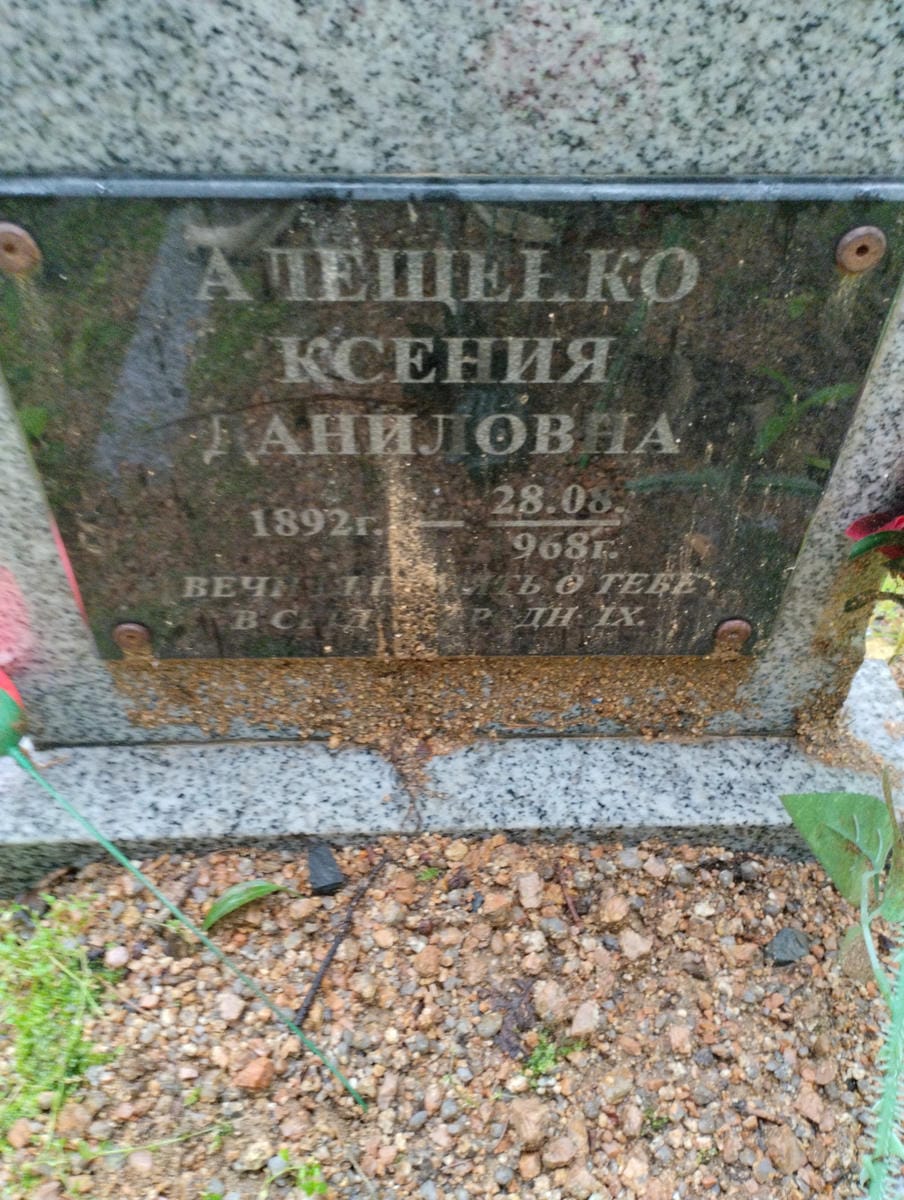 Алещенко Ксения Даниловна