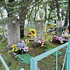 Ряполова Неизвестно Неизвестно