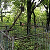 Неизвестно Неизвестно Неизвестно