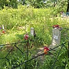 Писаревских Александра Ивановна