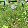 Костяная Мария Андреевна
