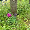 Сторожук Федор Фомич