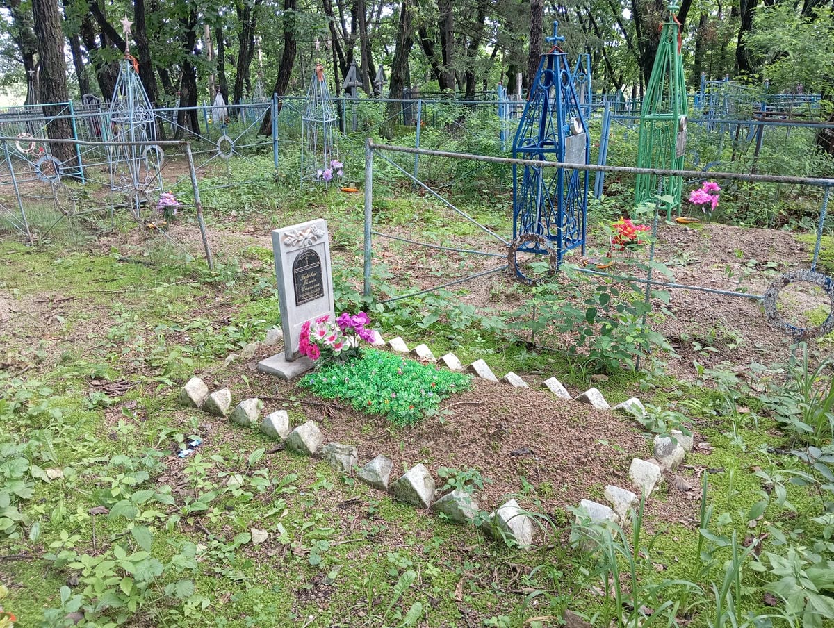 1e69d833-2a9b-437f-99f2-a644aba028ff Боровик Галина Ильинична