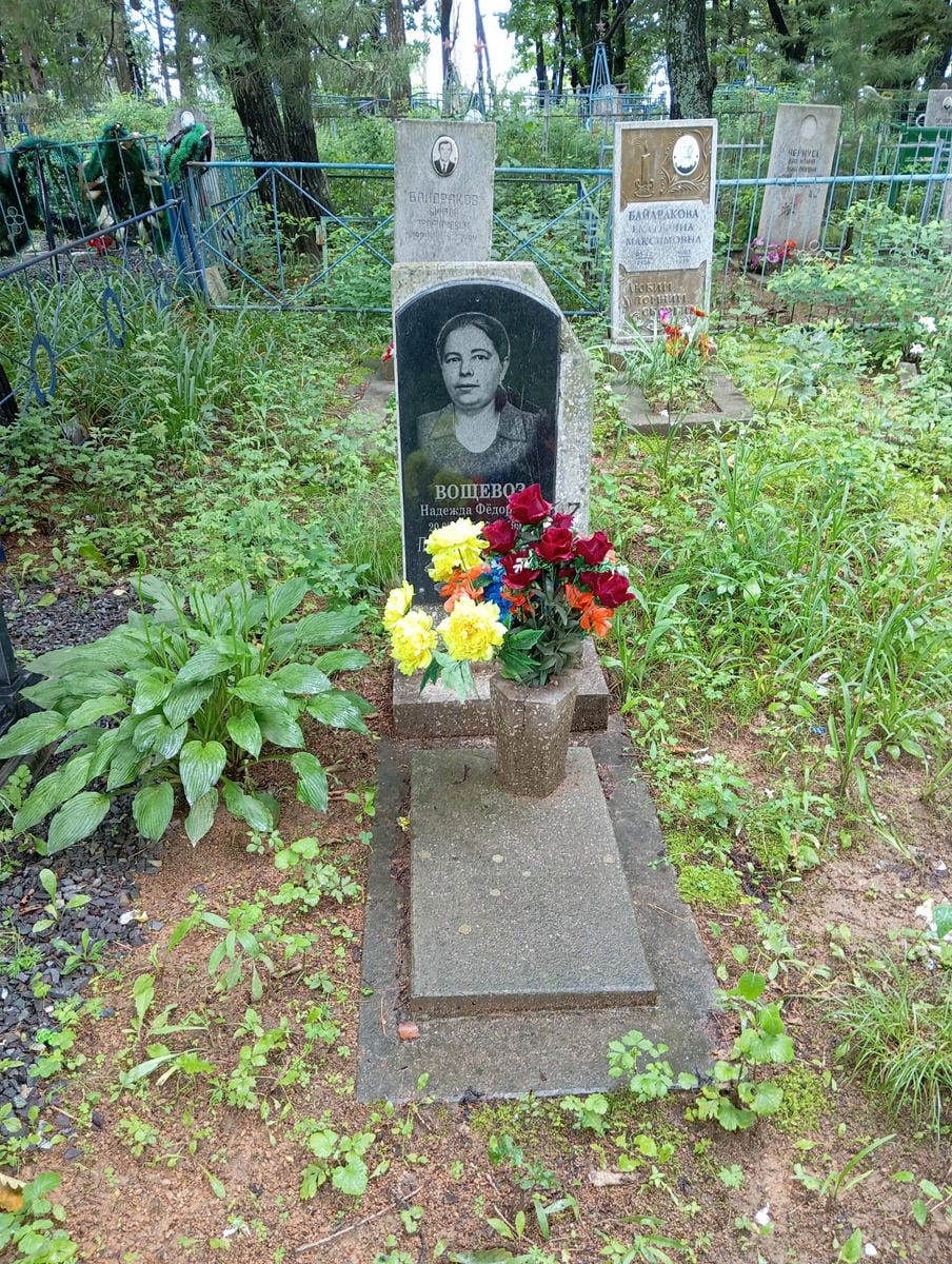 20c8e544-fc38-45fd-b010-62de09291fb0 Вощевоз Надежда Федоровна