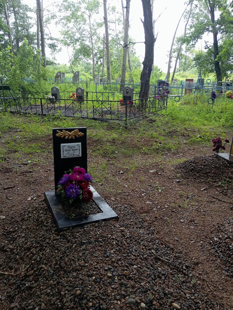 22aa02f1-1f34-406c-abc9-4dac36d34cc8 Марчук Анатолий Яковлевич