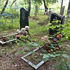 Соковина Тамара Максимовна